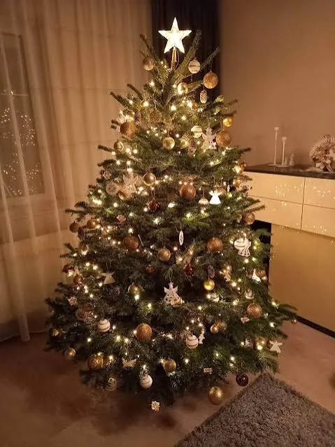Jedľa so zlatými ozdobami a hviezdou u zákazníka