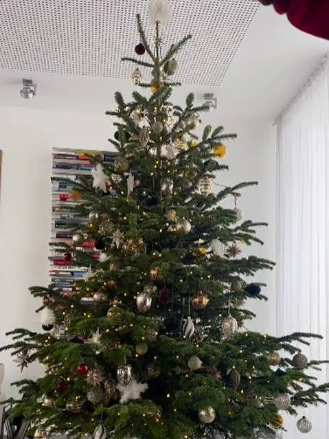 Vysoká jedľa so striebornými ozdobami u zákazníka