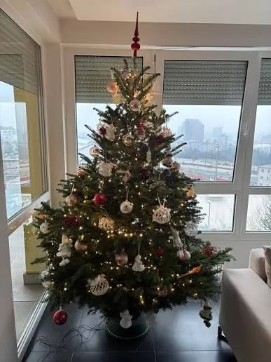 Ozdobená jedľa pri okne s výhľadom na mesto